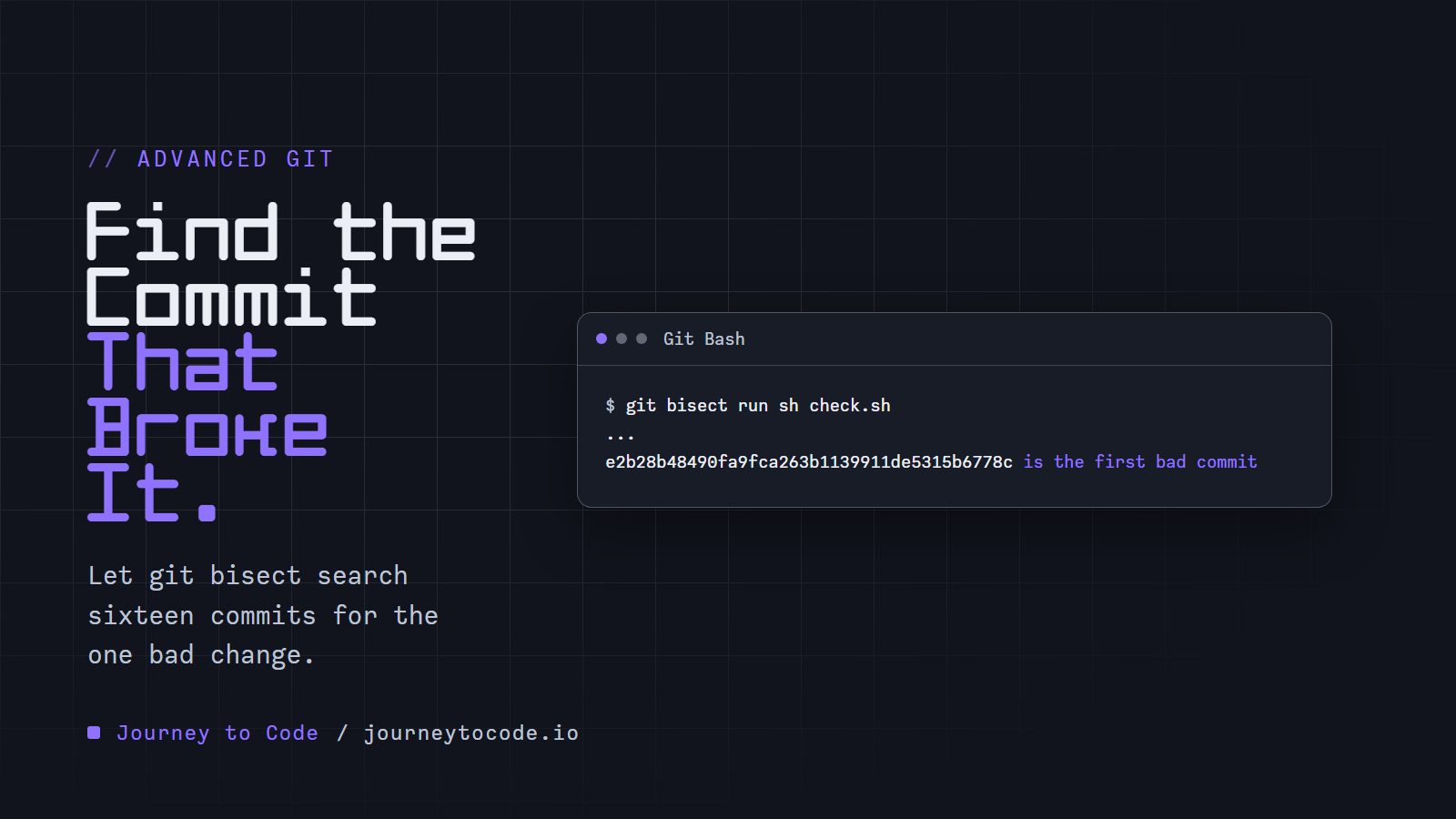Cover reading "Find the Commit That Broke It." a terminal running git bisect run sh check.sh and printing the first bad commit